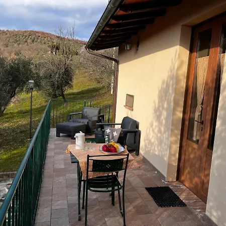 Il Mulino Delle Canutole *