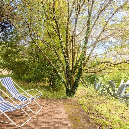 Il Mulino Delle Canutole